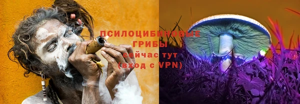 крисы Верхний Тагил