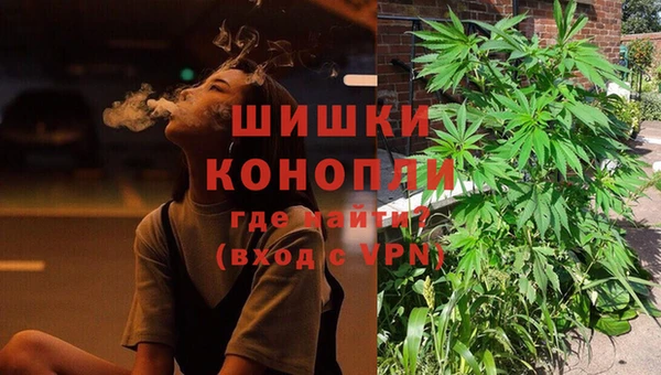крисы Верхний Тагил