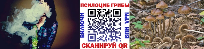 Псилоцибиновые грибы Magic Shrooms Грозный