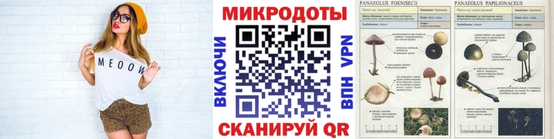 цены Грозный Галлюциногенные грибы прущие грибы